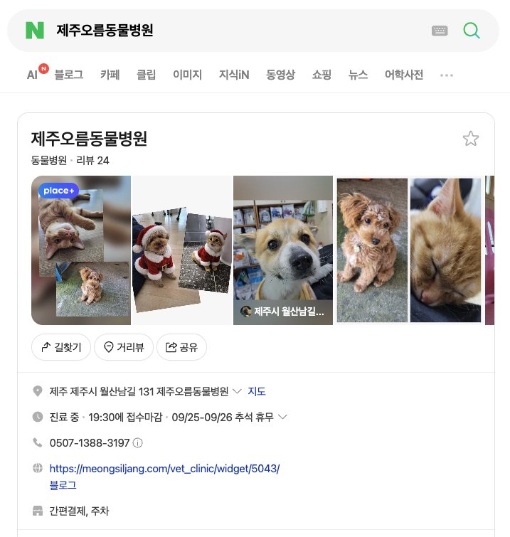 네이버에서 제주오름동물병원을 검색한 플레이스 정보. 홈페이지 링크가 멍실장 병원 페이지로 연결되어 있음